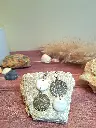 20250504_121241.webp