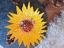 20250513_112218 (2).webp
