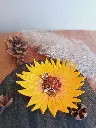20250513_112230 (2).webp