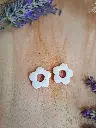 20250705_120824.webp