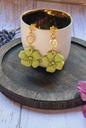 Puces d'oreilles " Roselani "