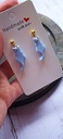Puces d'oreilles " Raurii "