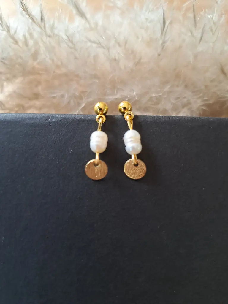 Puces d'oreilles " Iséa " 