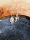 Puces d'oreilles " Raïna "