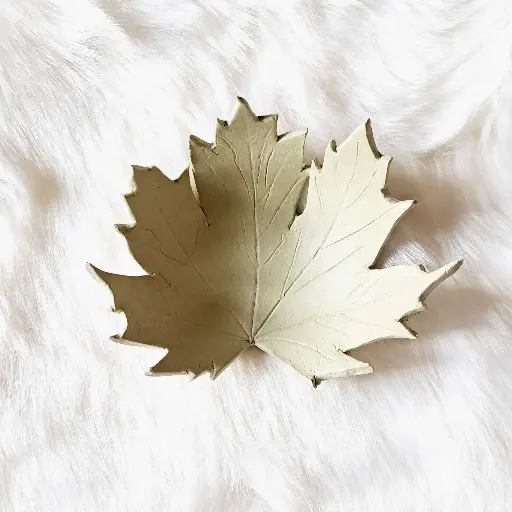Coupelle en argile " feuille "