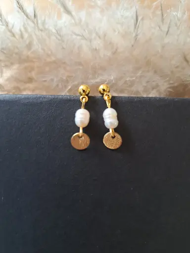 Puces d'oreilles " Iséa " 